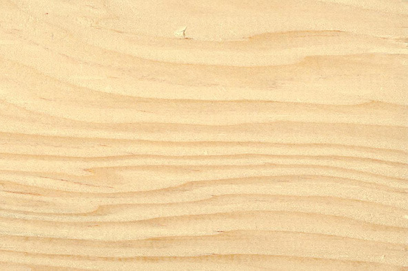 미송 ( D/F Douglas Fir, Douglas Spruce, Oregon Pine) 특수목,
